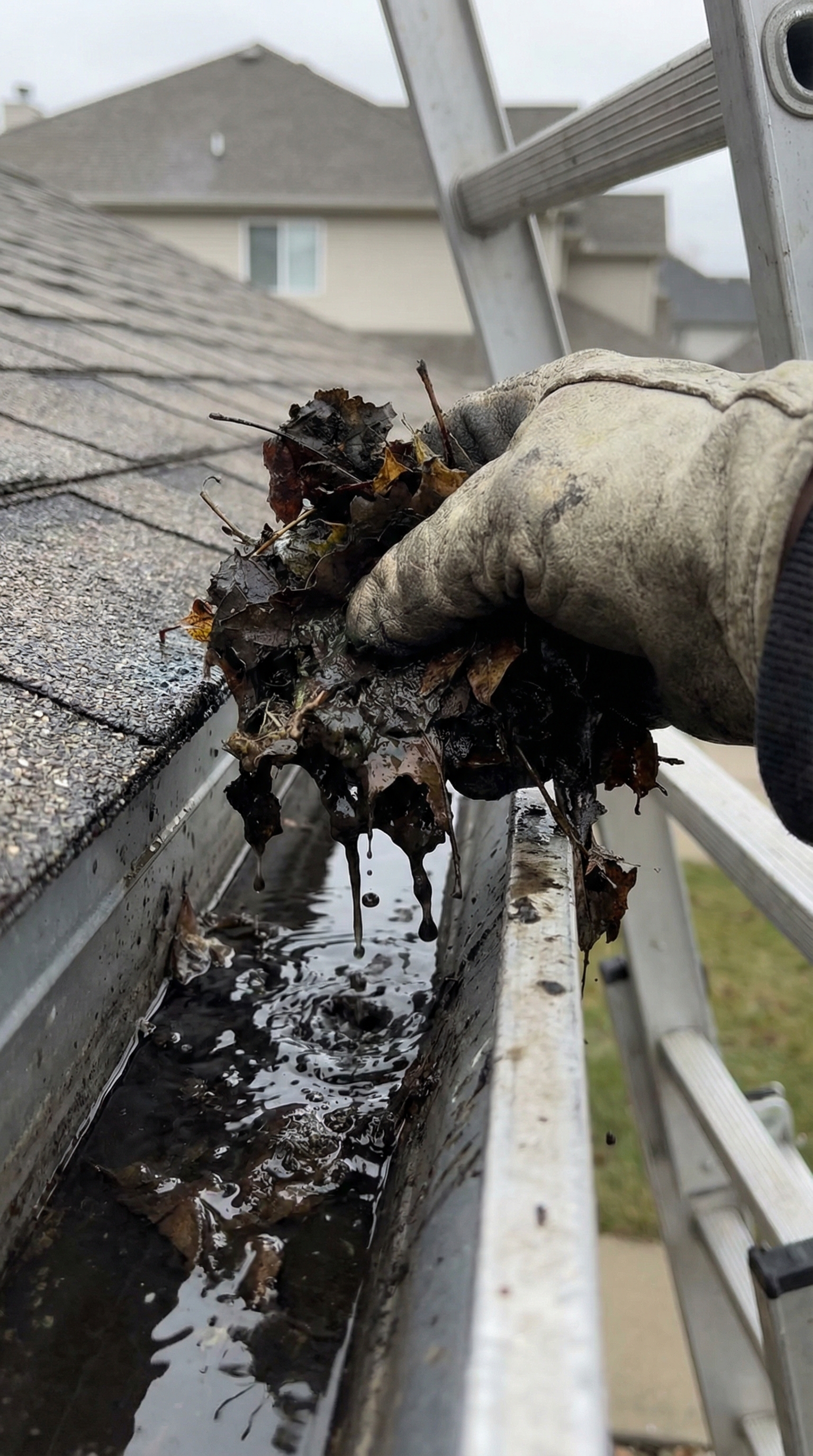 Gutter Cleaning